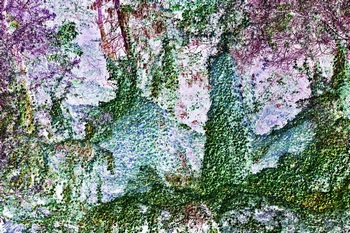 N 156B